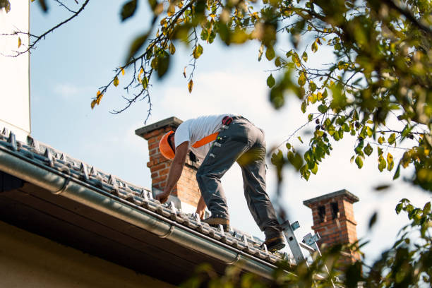 Best Slate Roofing Contractor  in Dansville, NY
