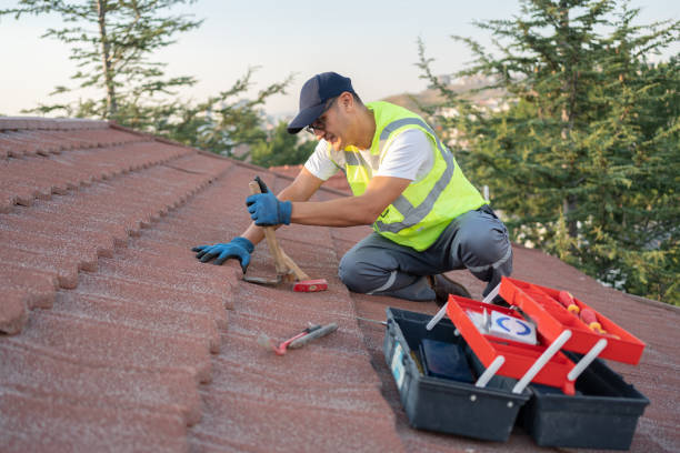 Best Local Roofing Companies  in Dansville, NY