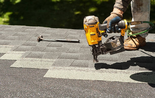 Best Roof Maintenance Services  in Dansville, NY